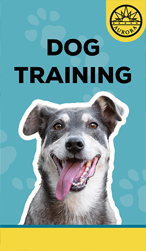 dog with tonge out with words that say dog training and city seal