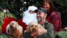 santa, woman, man and dogs smiling 