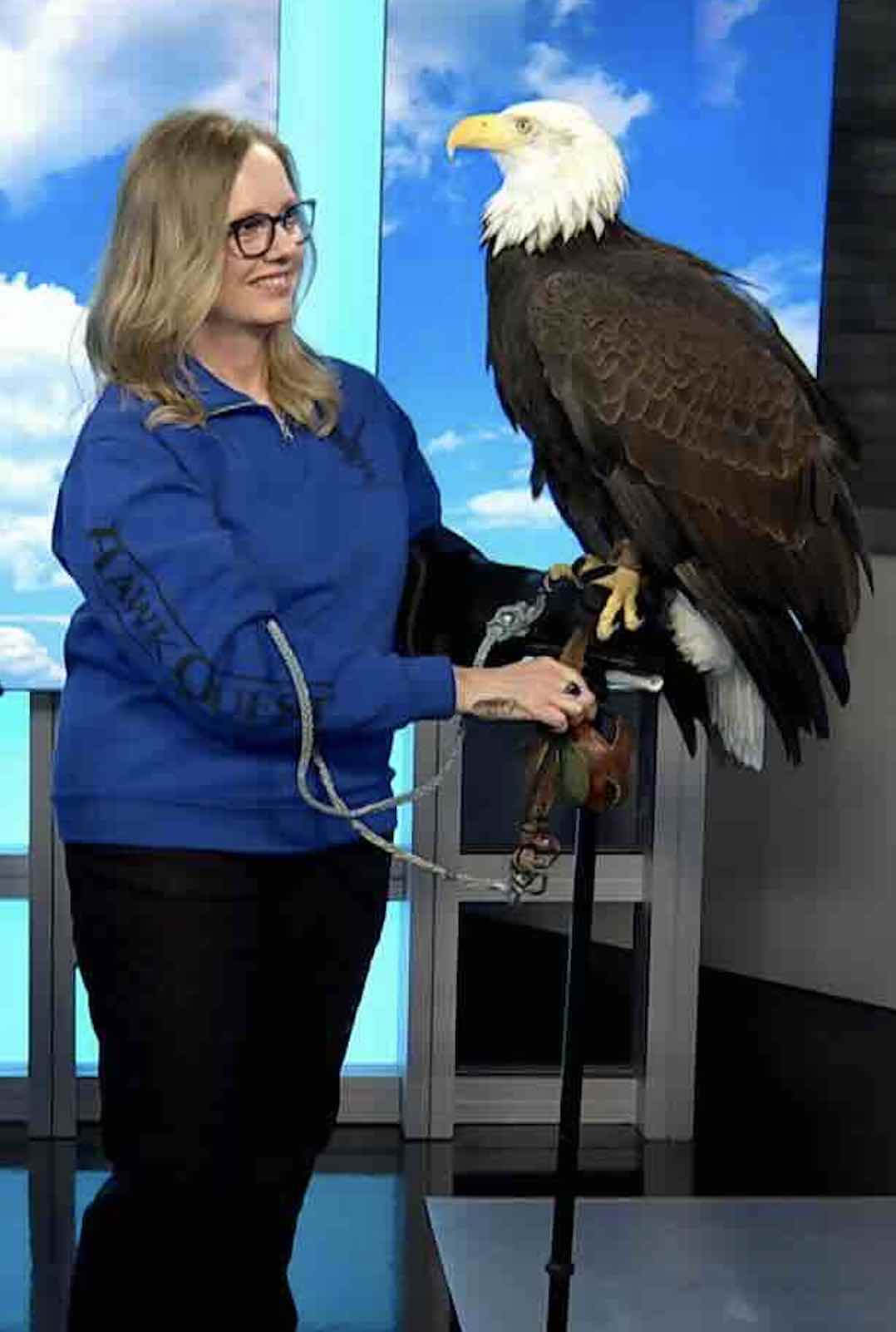Bald Eagle and Hawkquest Handler