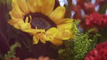 Fresh flower market