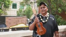 Sounds of Hawaii - Ukulele