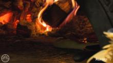 Wood fired pizza