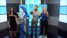 Finn the Shark with AuroraTV team
