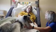 Medical Dog Visiting Patient