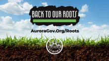 Graphic that says Back to our Roots