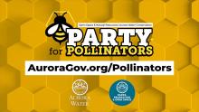 Graphic saying "Party for Pollinators"