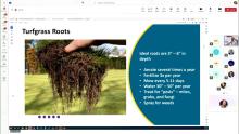 PowerPoint slide with an image of hand holding a clump of sod that links to the Study Session of September 23, 2024
