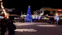 tree lighting at southlands shopping center