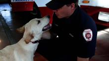 Firefighter and K9 Kai