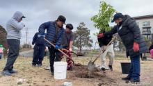 two men shoveling dirt to plant a little tree and woman holding little tree up