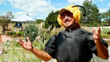 man in bumble bee costume 