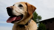 MWD Mattie