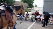 horse watching kids sitting outside and reading