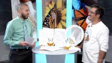 Blaine Robinson and David Footle standing with monarch butterfly props