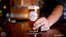 Six Capitol beer glass